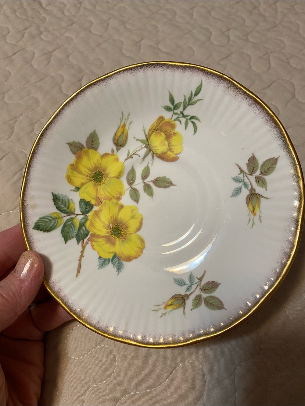 Yellow Rose Elizabethan vintage Floral Saucer with Gold Rim